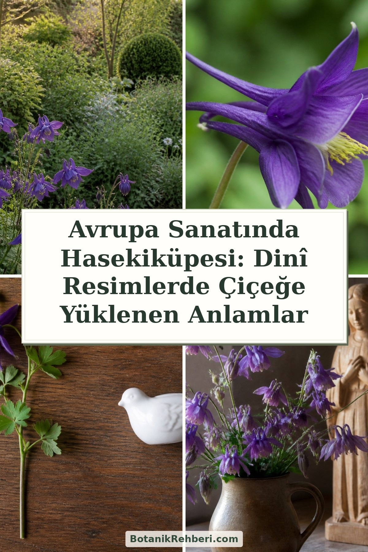 Avrupa Sanatında Hasekiküpesi: Dinî Resimlerde Çiçeğe Yüklenen Anlamlar — dörtlü konu kapağı