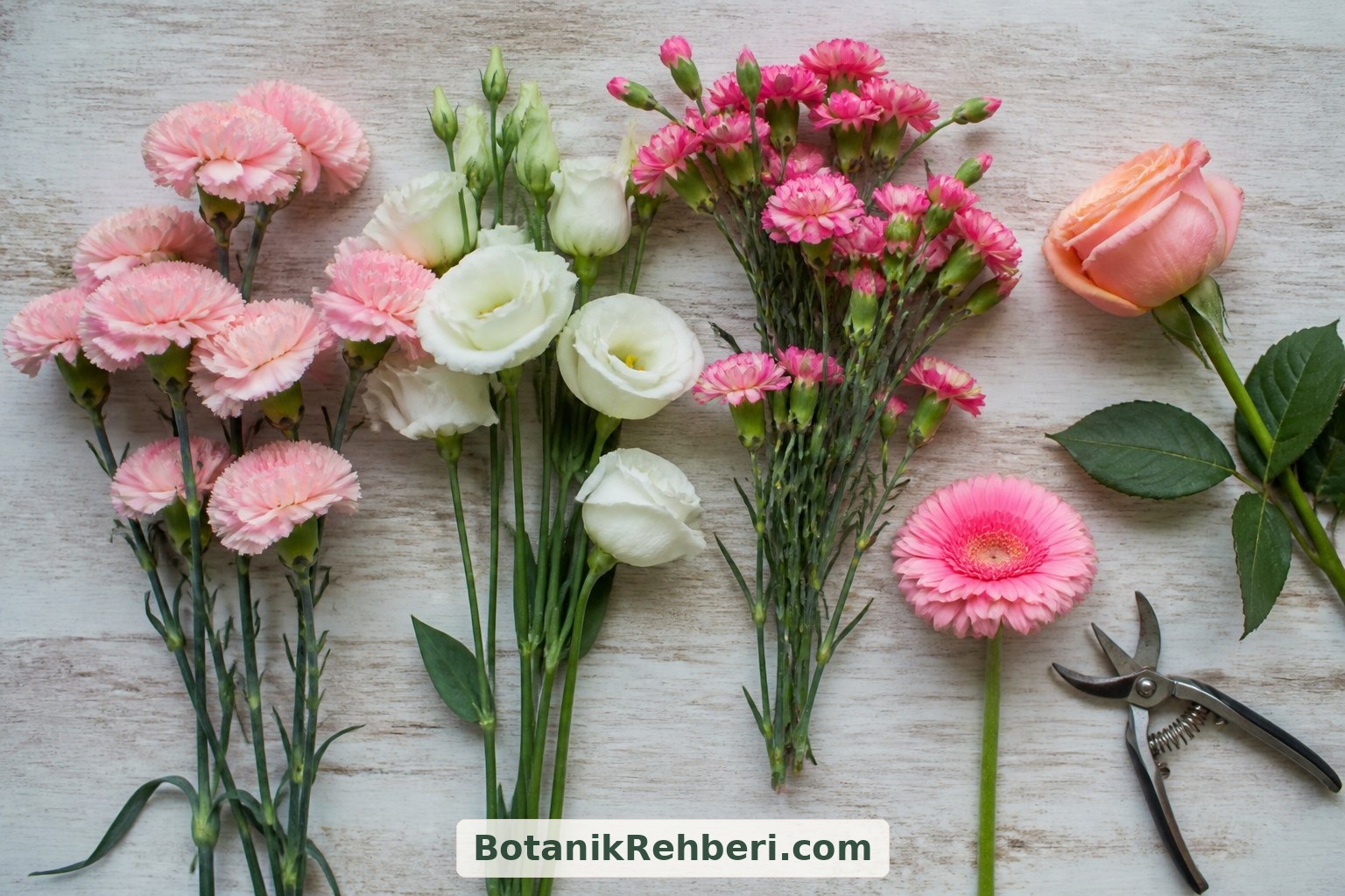 Çiçeklerin baş büyüklüğü ve sap yapısı buketin dengesini etkiler. Karanfil, lisyantus, gül ve gerbera gibi seçenekleri değerlendirirken tazeliklerini ve buket içinde nasıl destekleneceklerini sorun.