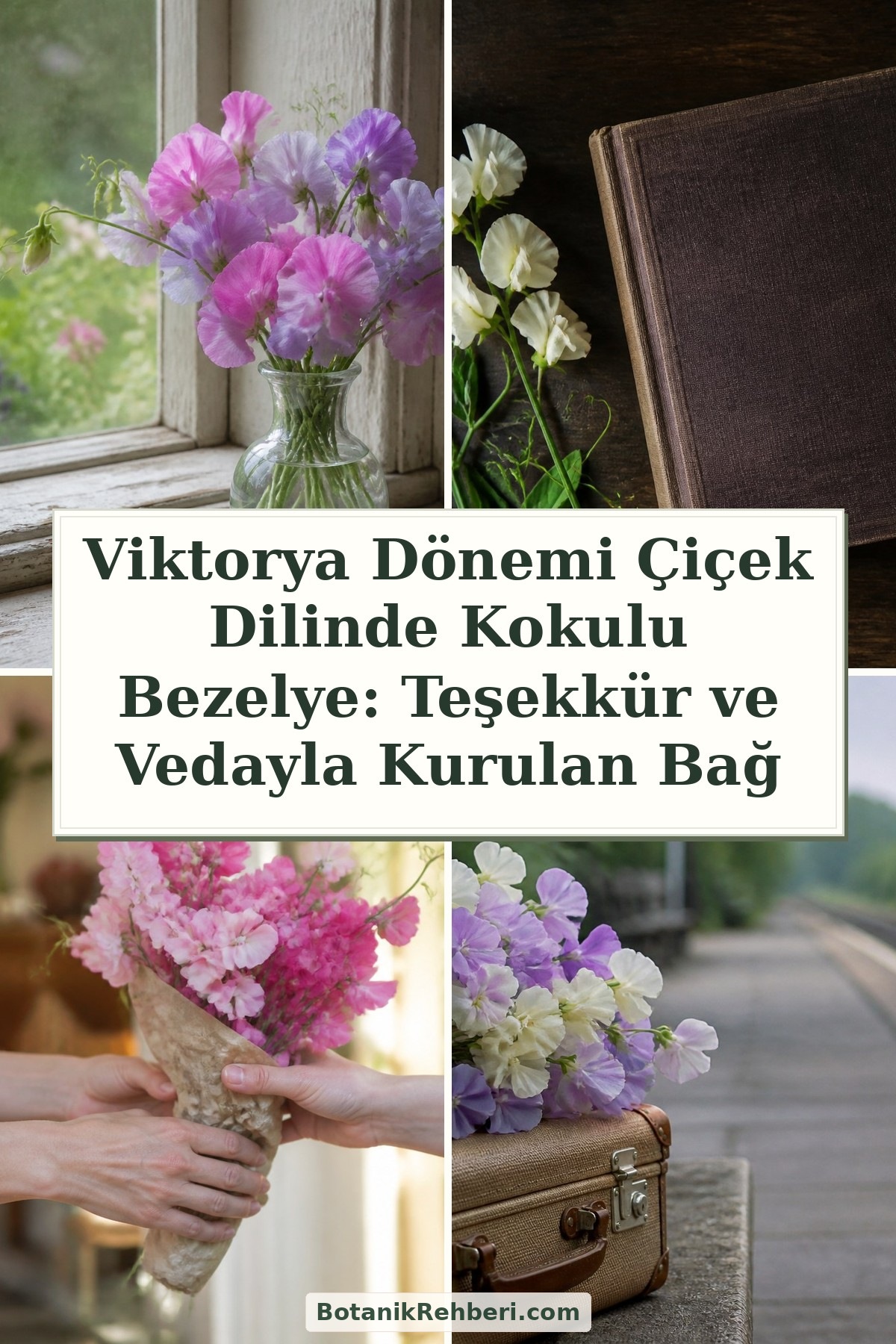 Viktorya Dönemi Çiçek Dilinde Kokulu Bezelye: Teşekkür ve Vedayla Kurulan Bağ — dörtlü konu kapağı